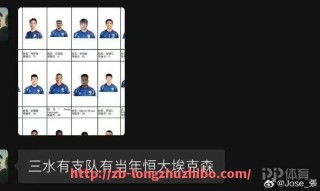 龙珠直播-德甲球队弗赖堡队标设计有什么特色及象征意义？（弗赖堡主场叫什么）