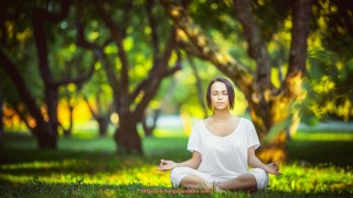 龙珠直播-火箭队参加季后赛的历程及关键比赛战况一览