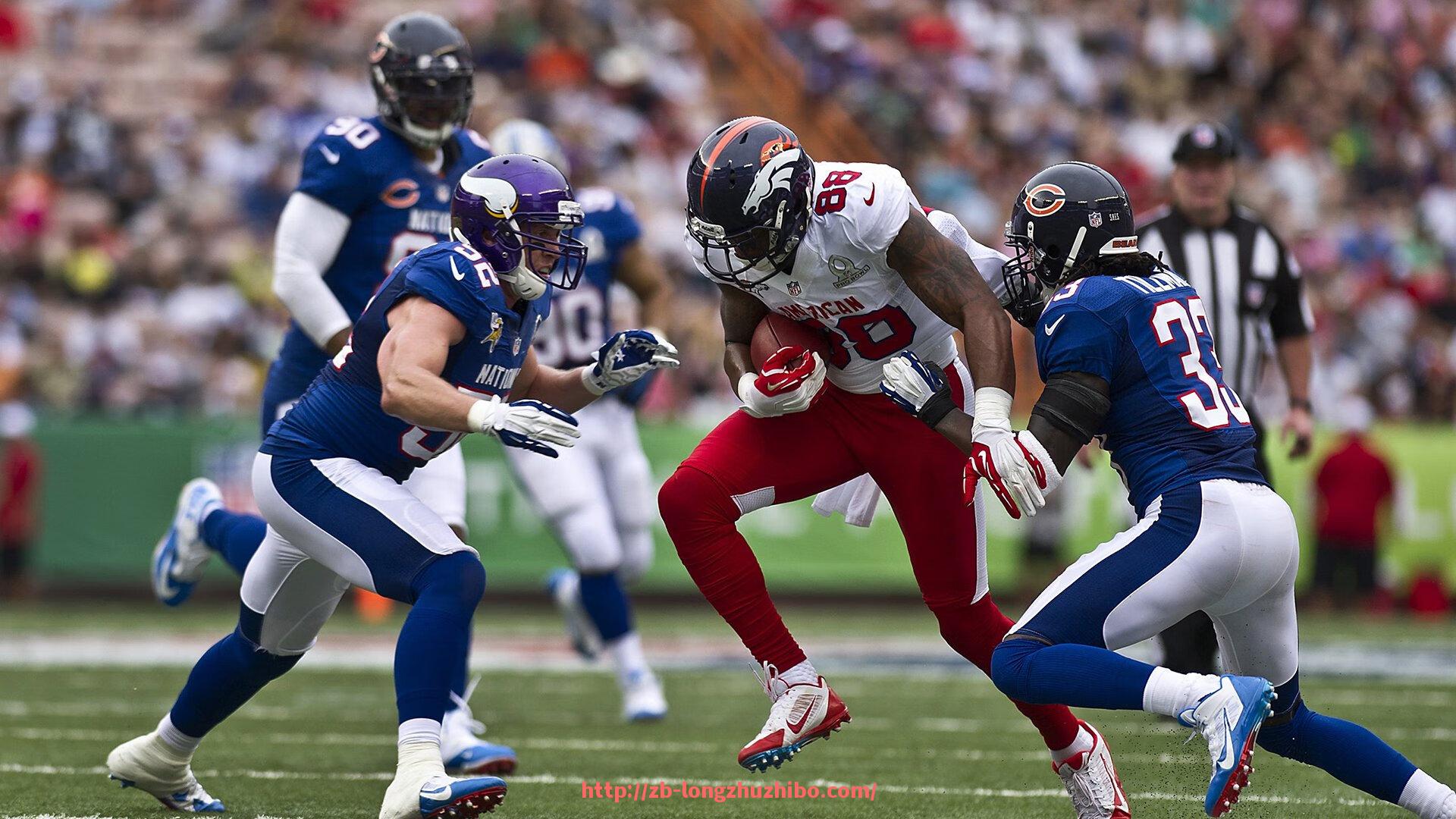 龙珠直播-健身器材的设计与功能:从基础到高阶